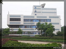 清华IT学习认证中心简介